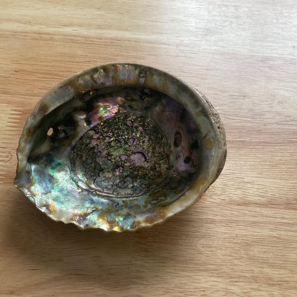 Elegant Iridescent Shell Art
